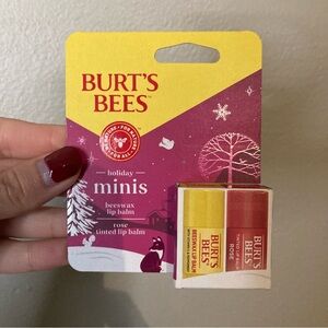 4/$10 - NEW Burt’s Bees Holiday Minis Lip Balm